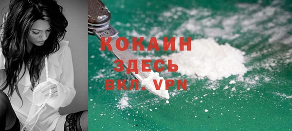шишки Абинск