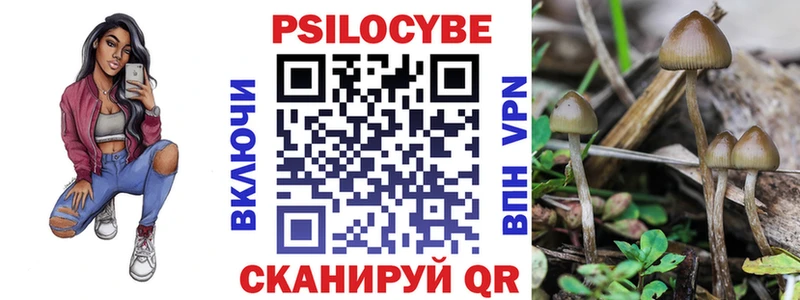 где купить наркоту  Ужур  Псилоцибиновые грибы Cubensis 